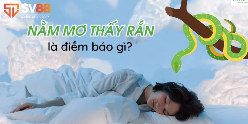 Mơ thấy rắn ảnh hưởng đến phong thủy như thế nào?